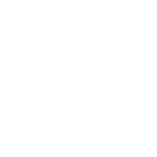 LW-Motorsport - Der Rennfahrer - symbol