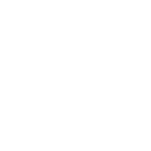 LW-Motorsport - Der Rennfahrer - symbol