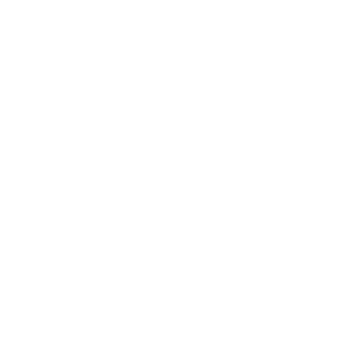 LW-Motorsport - Der Rennfahrer - symbol