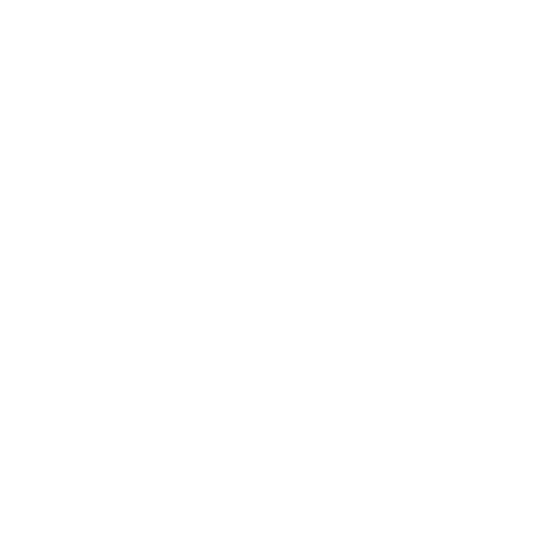 LW-Motorsport - Der Rennfahrer - symbol