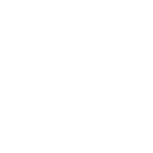 LW Motorsport – Der Rennfahrer –  Icon