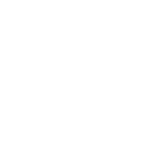 LW Motorsport – Der Rennfahrer –  Icon