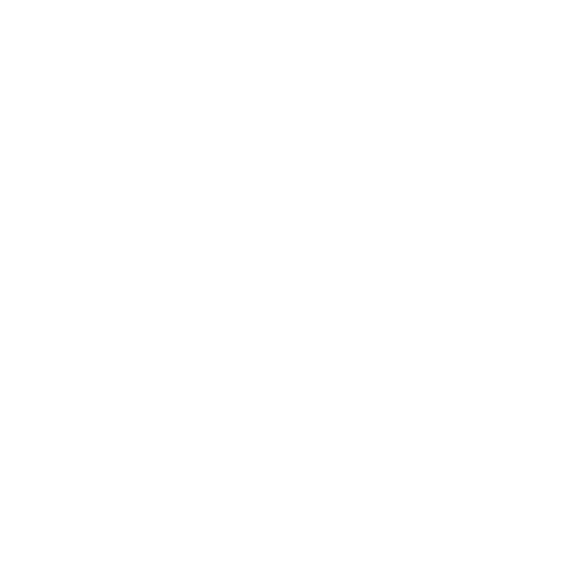 LW Motorsport – Der Rennfahrer –  icon