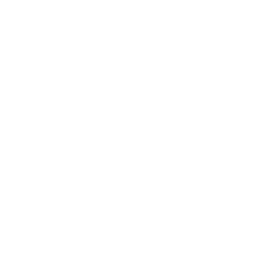 LW Motorsport – Der Rennfahrer –  icon
