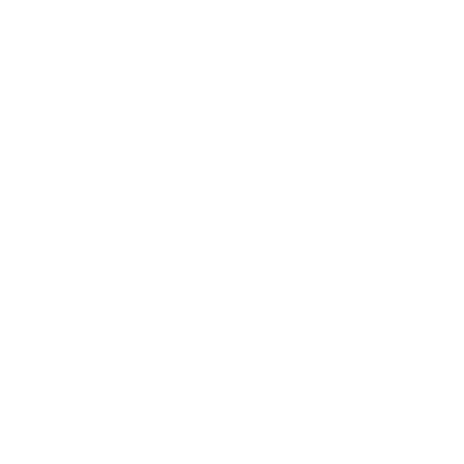 LW Motorsport – Der Rennfahrer –  icon