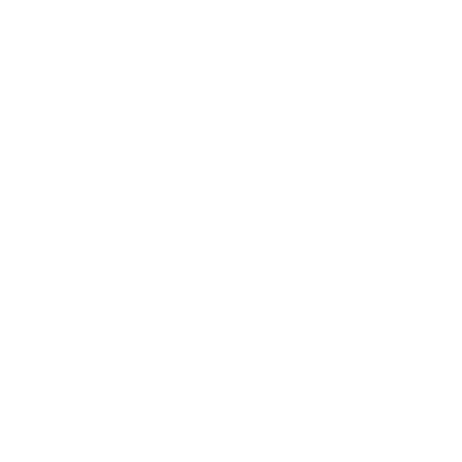 LW Motorsport – Der Rennfahrer –  icon