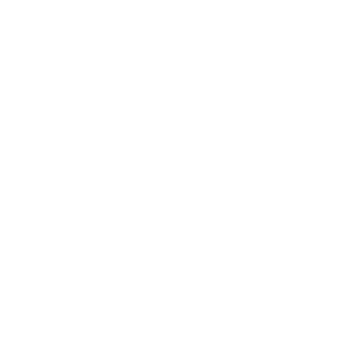 LW Motorsport – Der Rennfahrer –  icon